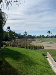Jardín Nativo