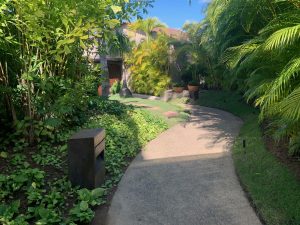 Jardinería frente al Mar