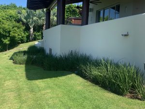 Renovación de Jardines